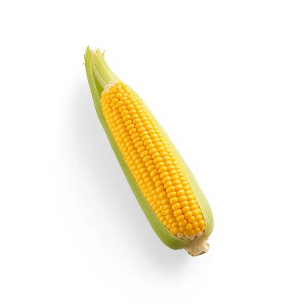 Fresh Sweet Corn