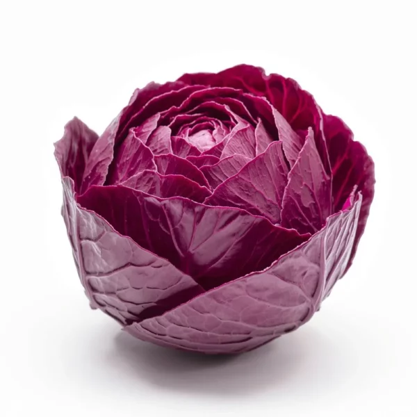 Red Cabbage
