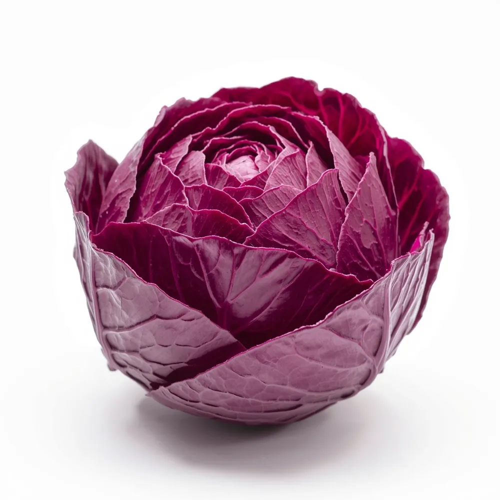 red cabbage Red Cabbage - Image 1