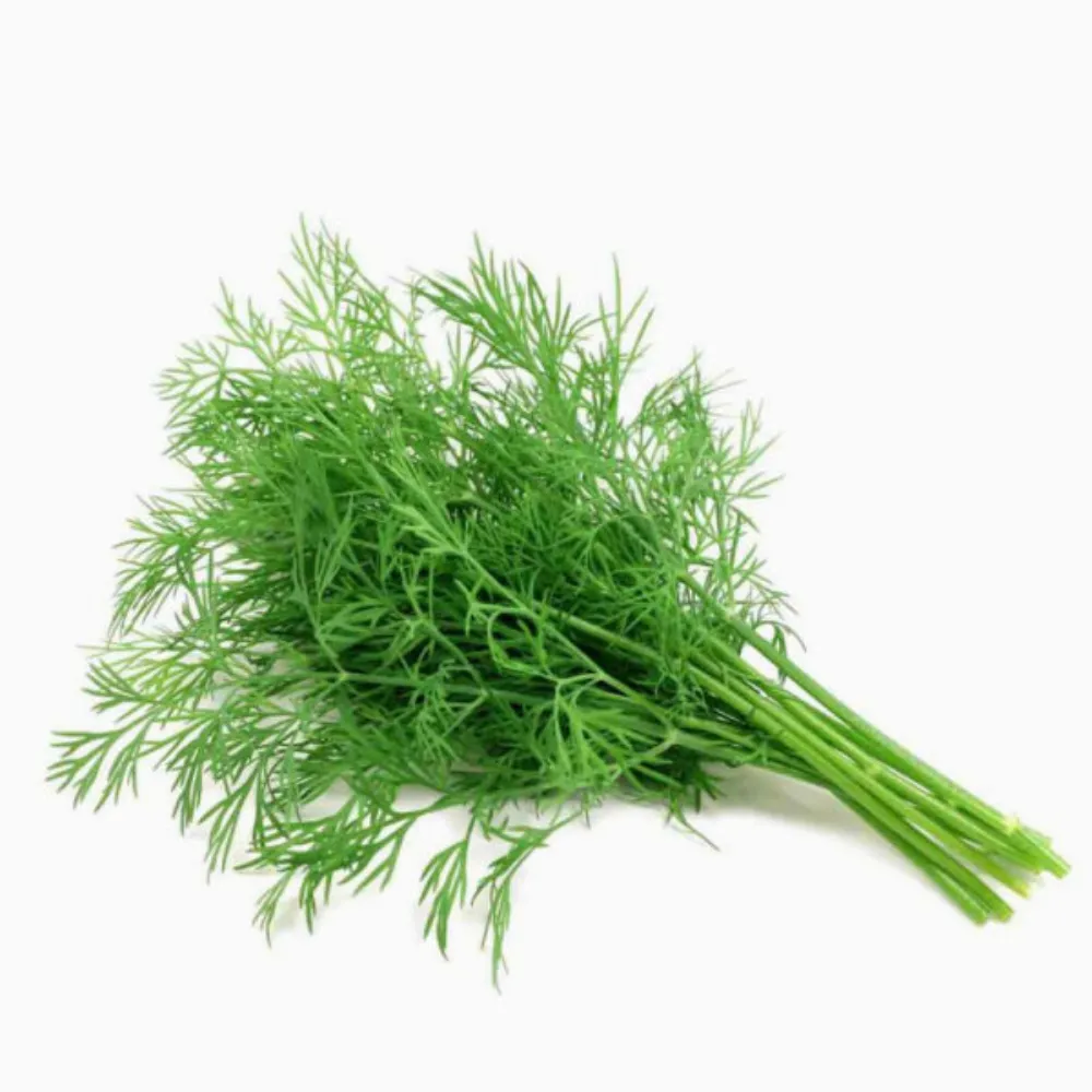 dill-1000x1000 Dill Bundle - Image 1