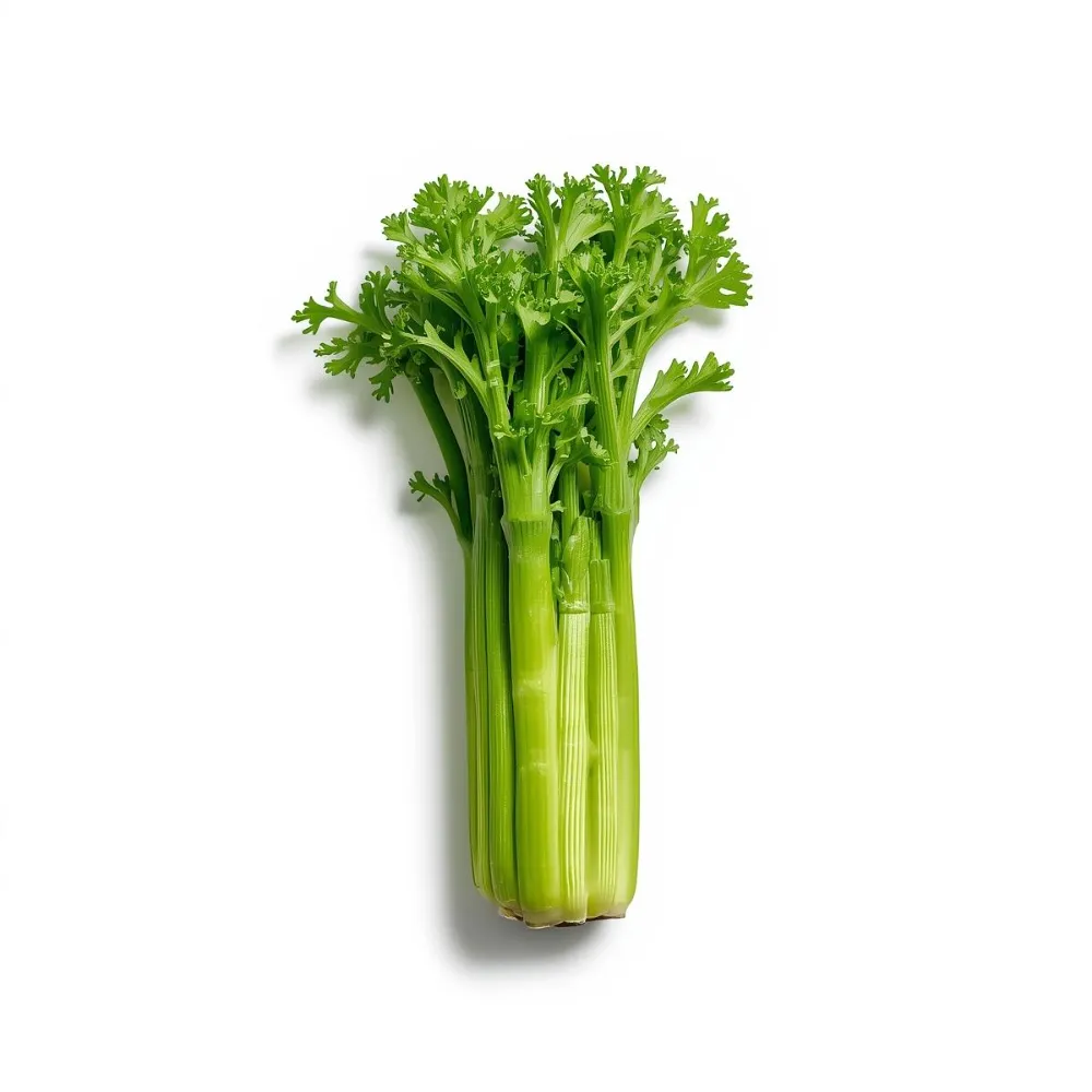 Fresh Celery Fresh Celery - Image 1