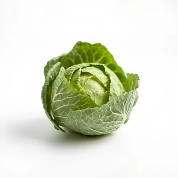 Green Cabbage