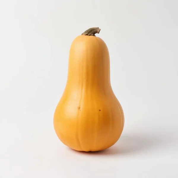 Butternut